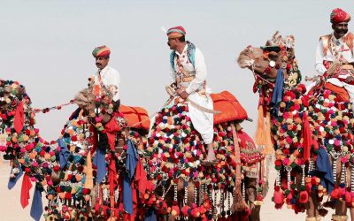 Pushkar Camel Fair: Essential Festival Guide