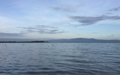 The Magnificent Lake Naivasha